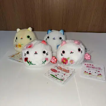 보관품! 고양이 4개 세트 산에이 무역 꽃 시리즈 2