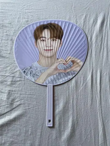 SEVENTEEN 세부치 공식 부채 성광