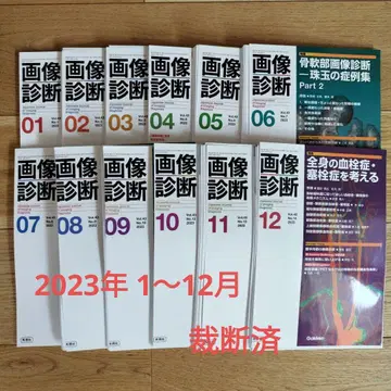 이미지 진단 2023 1~12월