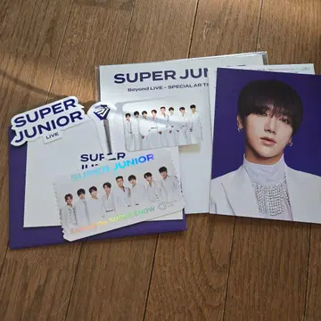 SUPER JUNIOR Beyond LIVE AR 티켓 예성