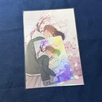 한국 BL 오메가 콤플렉스 엽서 트레이딩 카드