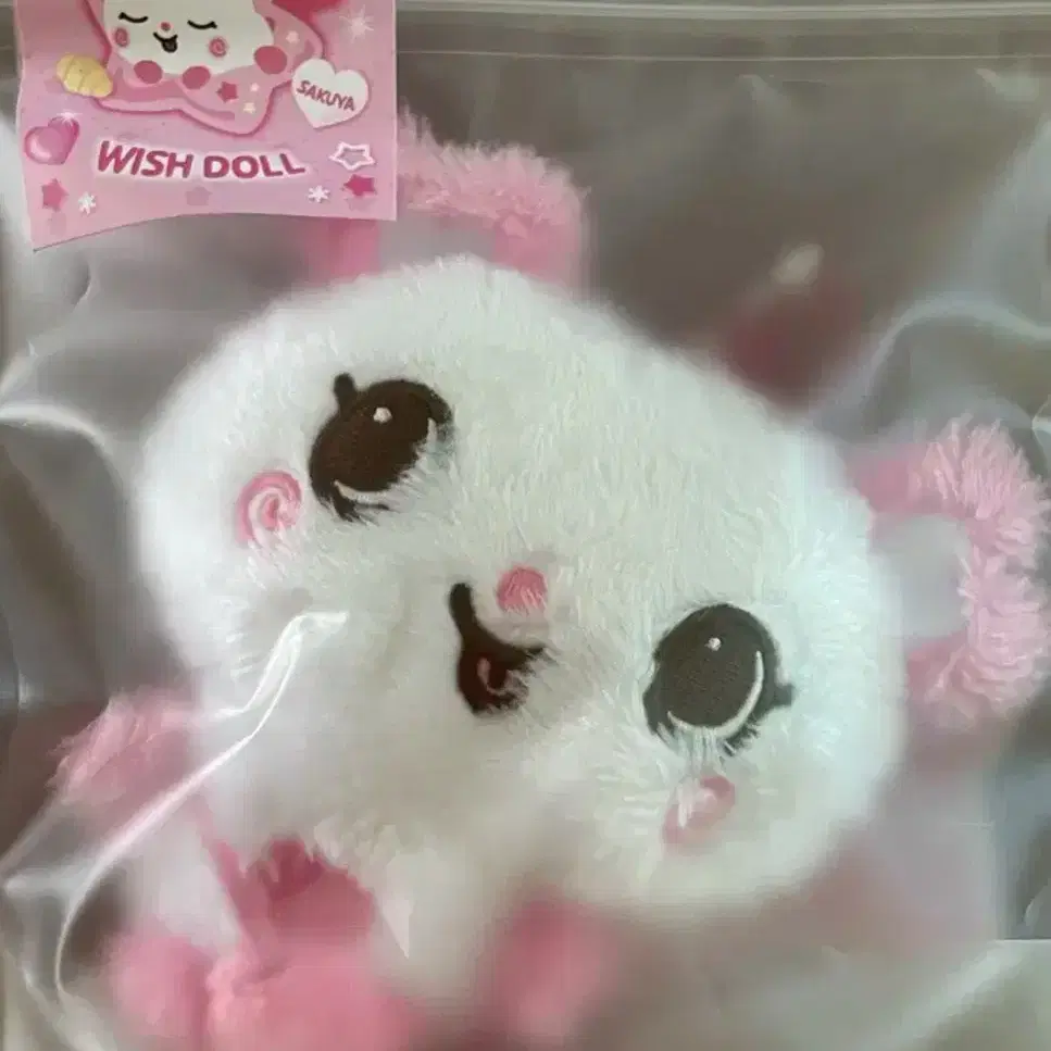 NCTWISH サクヤ WISH DOLL WISH DOLL - NCT WISH 'LET'S GO STEADY' POP-UP MD | SMTOWN