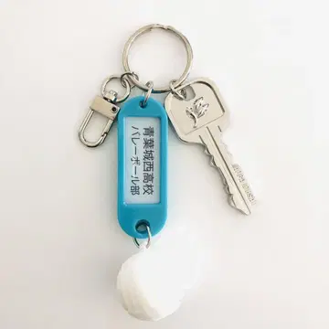 하이큐 열쇠 참 컬렉션 아오바조 니시