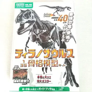 티라노사우루스 1/35 골격 모형 키트 포스터 미포함