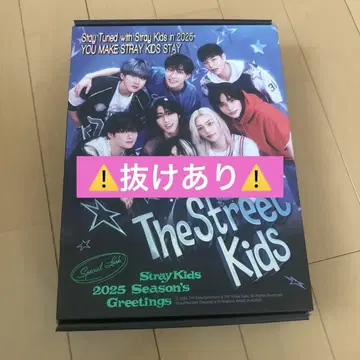 straykids 스키즈 시그리 2025 빠진 부분 있음
