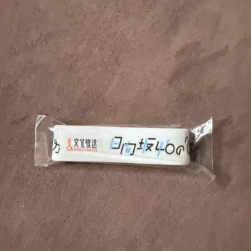 히나타자카46의 히나타 치란푸스