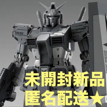 GUNDAM FIX FIGURATION RX78FRGMT GUNDAM