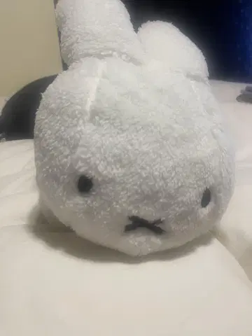 Dick Bruna 봉제 인형 토끼 화이트