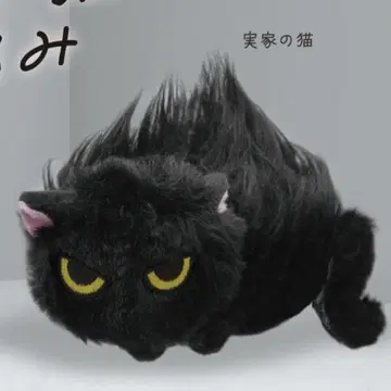 나츠카이 고양이 봉제 인형 부모님 댁의 고양이