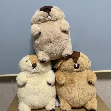 마모트의 모토토 JB 아타로 하마모토 모토토 봉제 인형