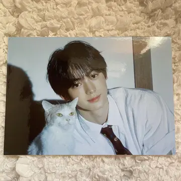 TWS 한진 HMV 패널