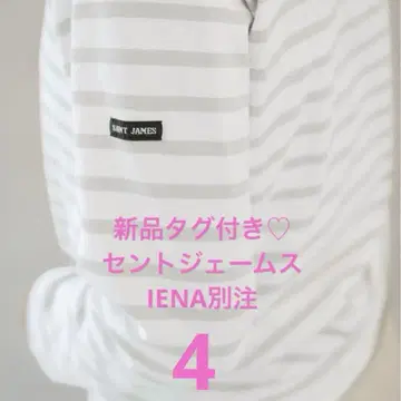 세인트 제임스 IENA 별주 모레 보더 그레이 T4
