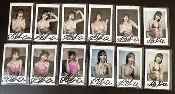 프레스티지 켄 앨리스 친필 사인 폴라로이드 12장 세트