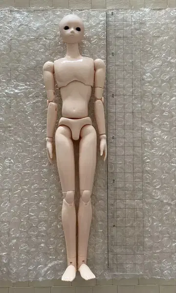 오비츠 바디 남성 파라 박스 슬림 화이트티 묶음 판매