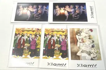 비바 렌 xlamv 세트 5종 세트