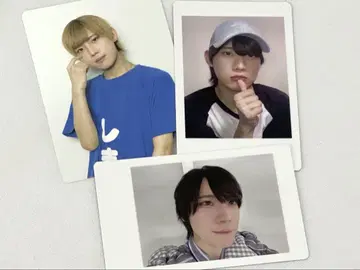 시마 나나 크로니클 하피카
