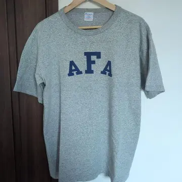USA제 챔피온 T1011 AFA 티셔츠 L 사이즈 군용 밀리터리