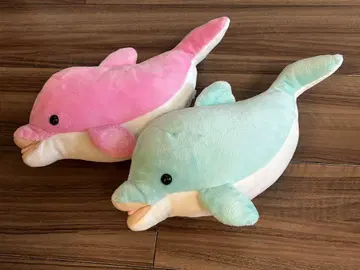 돌고래 봉제 인형 2개 세트