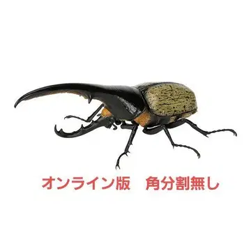 헤라클레스 헤라클레스 생물대도감 카부토무시 07 온라인판 미개봉 새상품
