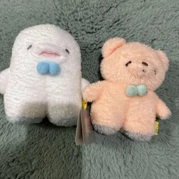 후와후와톤 돌고래 곰