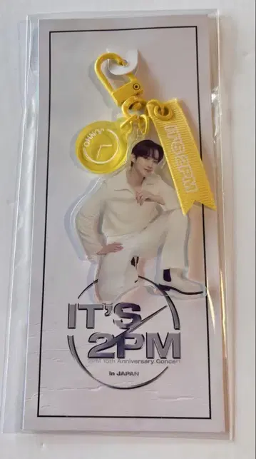 주노 2PM 15th Anniversary Concert 아크링 키링