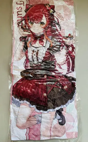 부이스포 빅 쿠션 고양이 타츠나