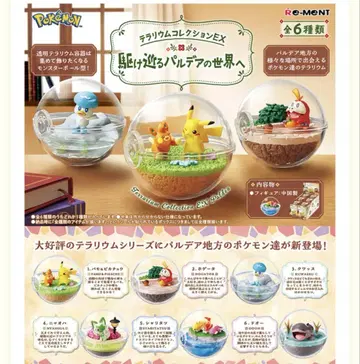 포켓몬 테라리움 컬렉션 달려나가는 팔데아의 세계로 리멘트