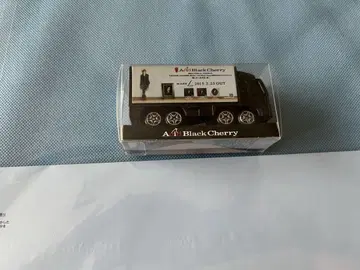 Acid Black Cherry 미니카