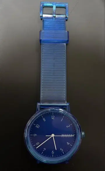 SKAGEN SKW6602 블루 클리어
