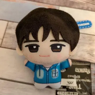 TWS 남코 한정판 SD 인형 경민