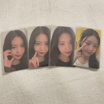 수진 팬클럽 트레이딩 카드 한국