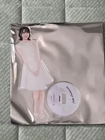 AKB48 하시모토 에리코 66th SPECIAL 복권 아크릴 스탠드