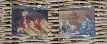 프로세카 노블 아트 컬렉션 호시노 이카, 모치즈키 호나미