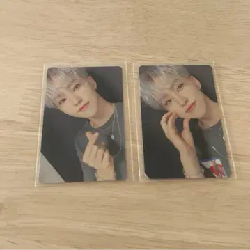 SEVENTEEN 세부치 호시 춤추는 꽃잎 춤추는 꽃