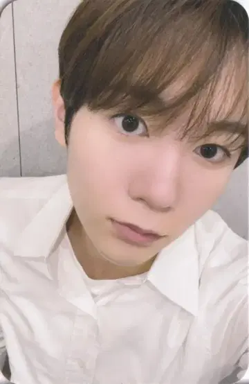 NCT WISH 무모 리오 스테디