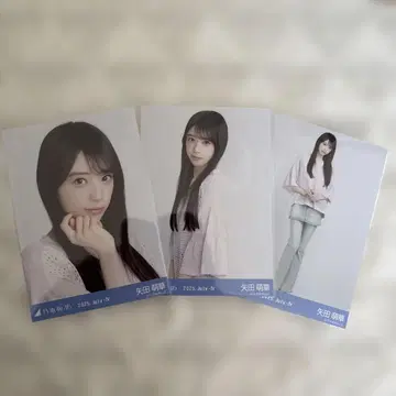 노기자카46 야다 모에카 컴프 메쉬 니트 시즈오카