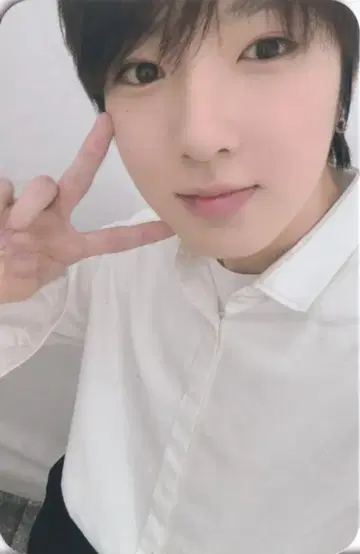 NCT WISH mu-mo SAKUYA 스테디