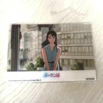 바다 소리가 들리는 방문객 한정판 엽서