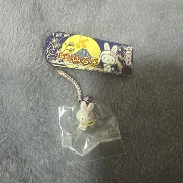 지역 키티 하코네 한정판 센고쿠이시와라 스트랩