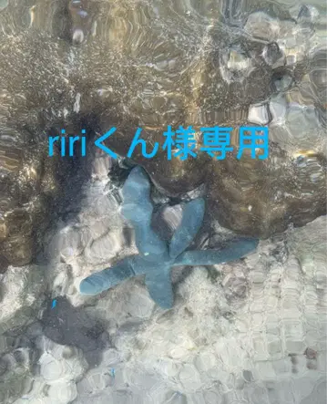 에코백