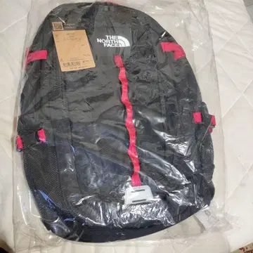 노스페이스 Hot Shot 27L 백팩 NM72302