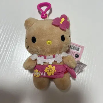 일광화상 키티 하와이 한정판