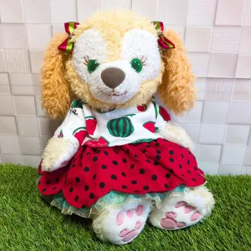 쿠키 앤 코스튬