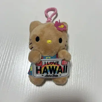 일광화상 키티 하와이 한정판