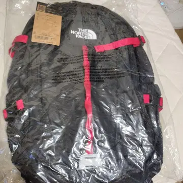 노스페이스 Hot Shot 27L 백팩 NM72302