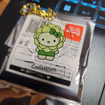 엑스포 EXPO2025 일본관 모키티 아크릴 키링 Coelastrum