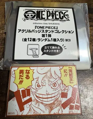 ONEPIECE 아크릴 배지 스탠드 컬렉션 니카