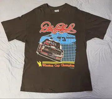 격렬한 92년 Hanes 헤인즈 BEEFY-T USA