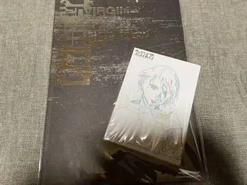 버진 펑크 팜플렛 혜택