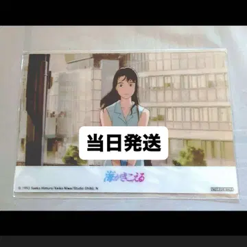 바다가 들리는 입장객 혜택 클리어 엽서